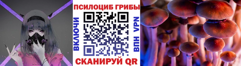 Галлюциногенные грибы мухоморы  как найти наркотики  Нижняя Тура 