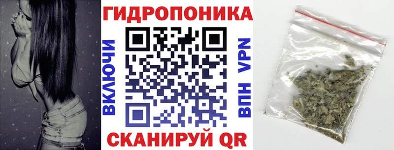 Бошки марихуана Bruce Banner  наркотики  Нижняя Тура 